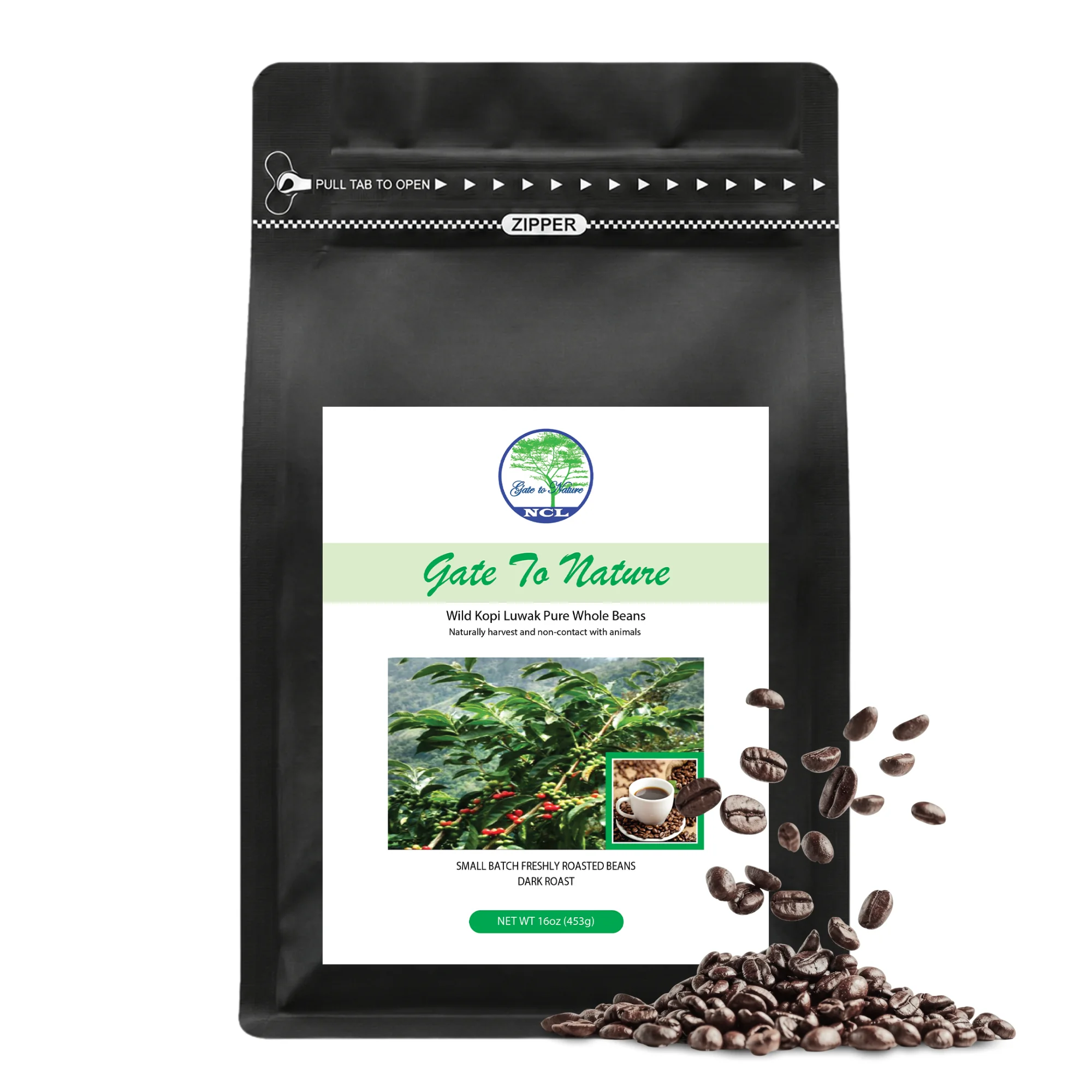 Specialty Roasted Kopi Luwak Coffee Black Bag 16oz