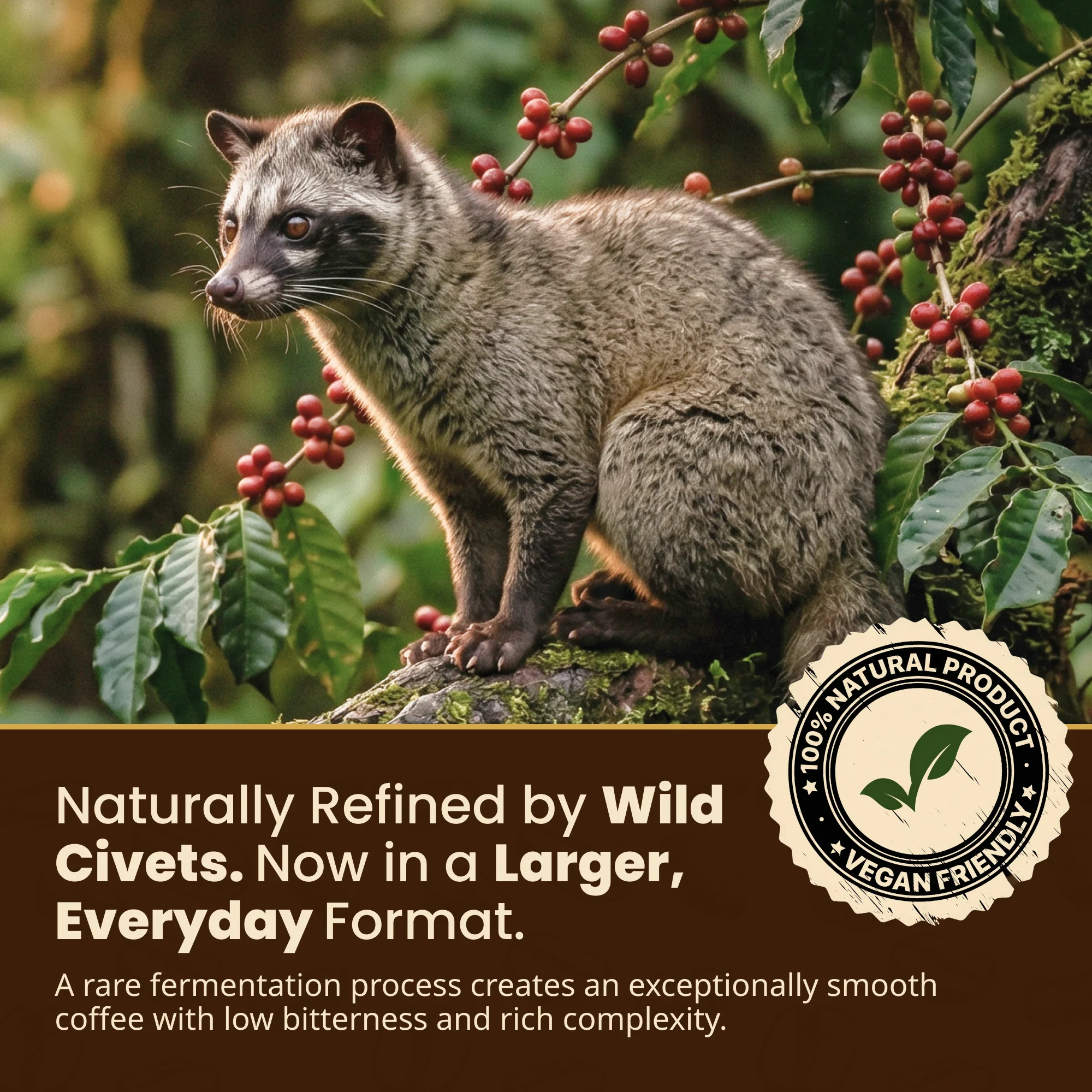 Specialty Roasted Kopi Luwak Coffee Black Bag 16oz photo 7