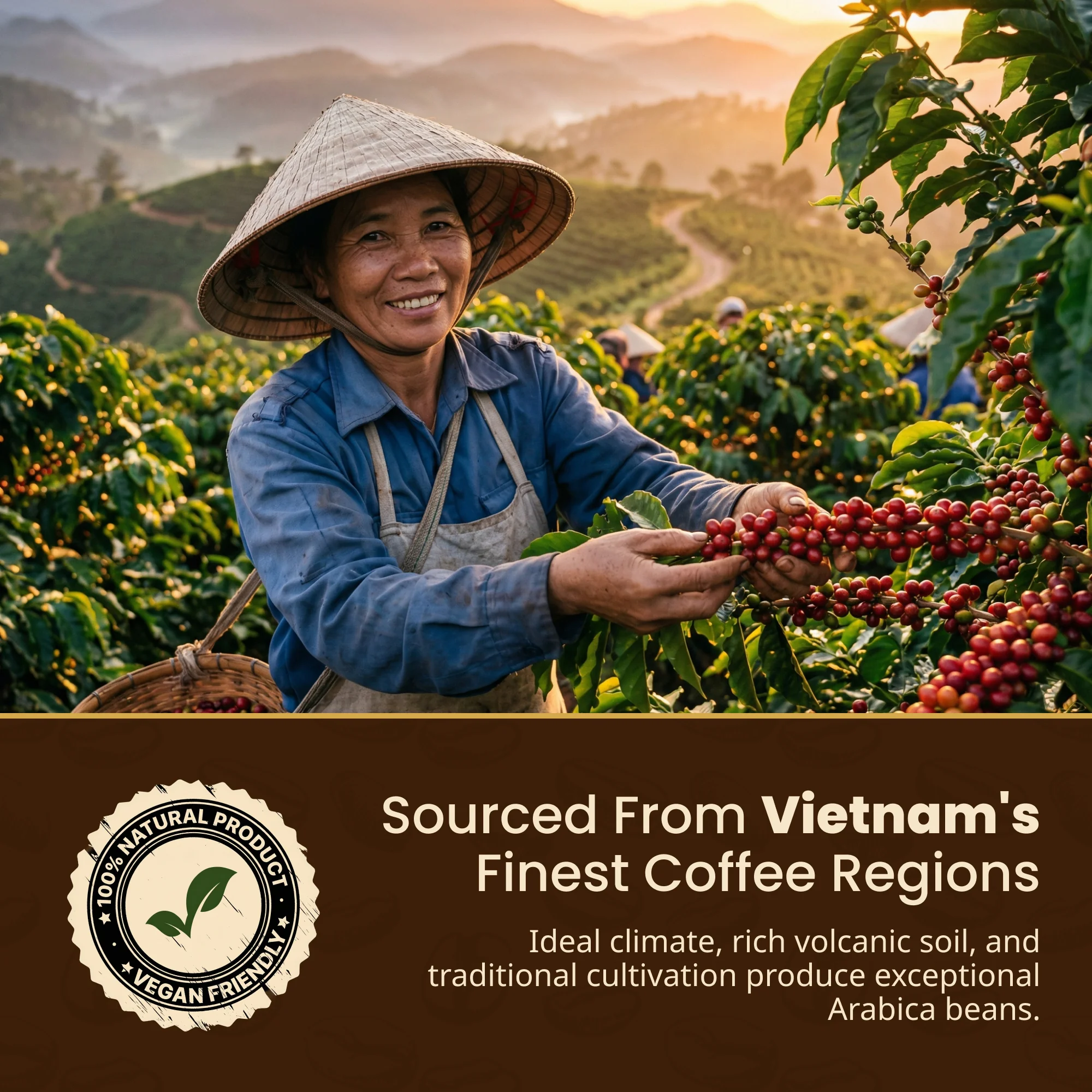 Wild Kopi Luwak Dark Roast Coffee Beans photo 6